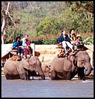 Riding on elephant back to visit tribal villages
