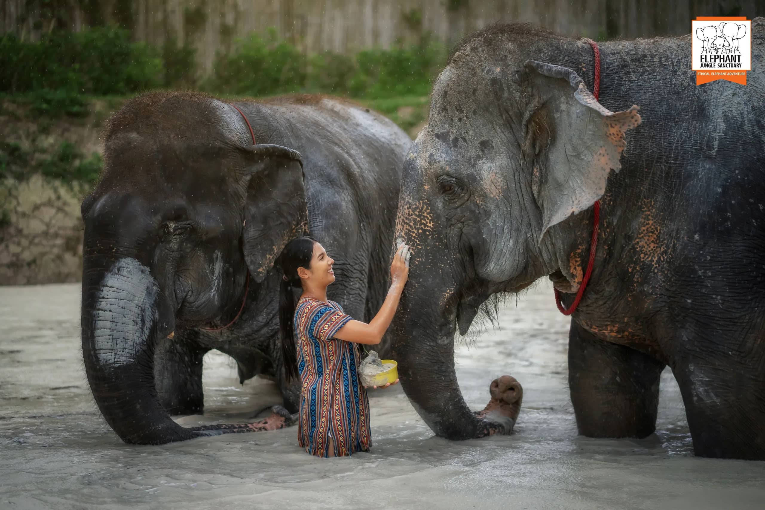 Half Day Elephant Jungle Sanctuary Phuket